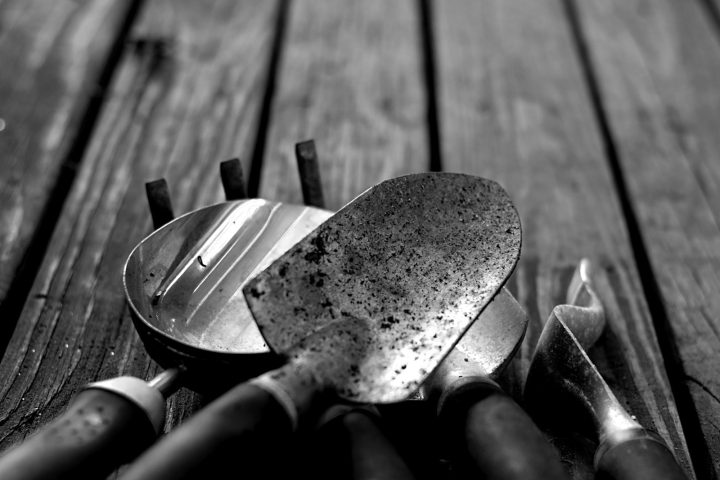 greyscale photo of gardening tools