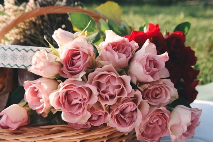 pink rose on wicker basket